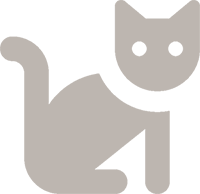 Image of cat